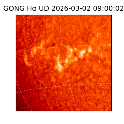 gong - 2026-03-02T09:00:02