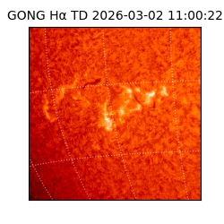 gong - 2026-03-02T11:00:22