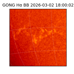 gong - 2026-03-02T18:00:02