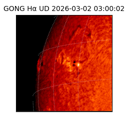 gong - 2026-03-02T03:00:02