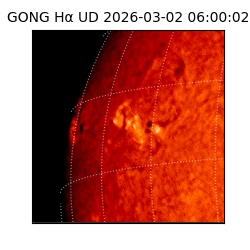 gong - 2026-03-02T06:00:02