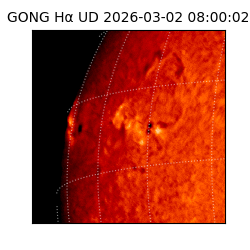 gong - 2026-03-02T08:00:02