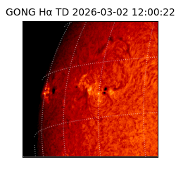 gong - 2026-03-02T12:00:22