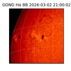 gong - 2026-03-02T21:00:02