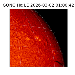 gong - 2026-03-02T01:00:42