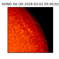 gong - 2026-03-02T05:00:02