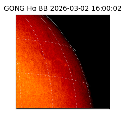 gong - 2026-03-02T16:00:02