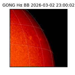 gong - 2026-03-02T23:00:02