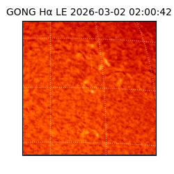 gong - 2026-03-02T02:00:42