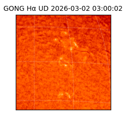 gong - 2026-03-02T03:00:02