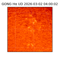 gong - 2026-03-02T04:00:02