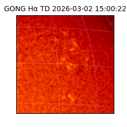 gong - 2026-03-02T15:00:22