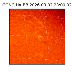 gong - 2026-03-02T23:00:02