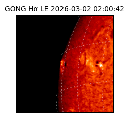 gong - 2026-03-02T02:00:42