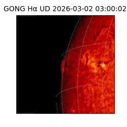 gong - 2026-03-02T03:00:02