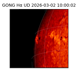 gong - 2026-03-02T10:00:02