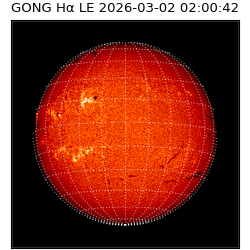 gong - 2026-03-02T02:00:42