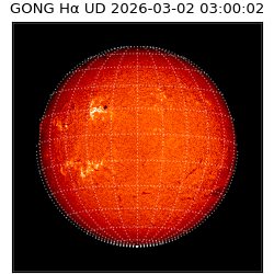 gong - 2026-03-02T03:00:02