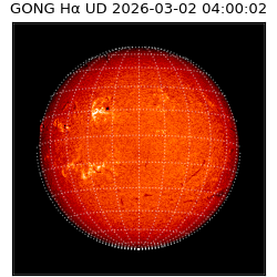 gong - 2026-03-02T04:00:02