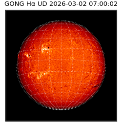 gong - 2026-03-02T07:00:02