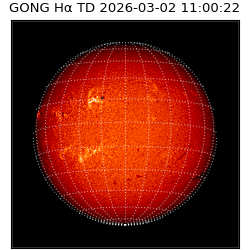 gong - 2026-03-02T11:00:22