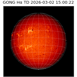 gong - 2026-03-02T15:00:22