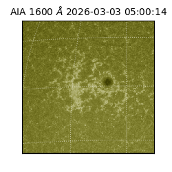 saia - 2026-03-03T05:00:14.126000