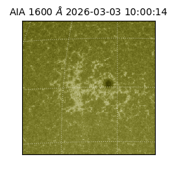 saia - 2026-03-03T10:00:14.125000