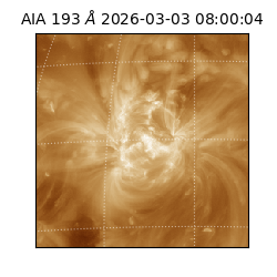 saia - 2026-03-03T08:00:04.843000