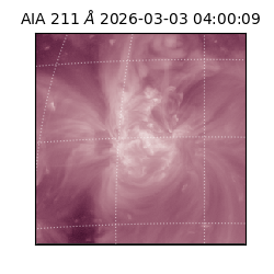 saia - 2026-03-03T04:00:09.632000