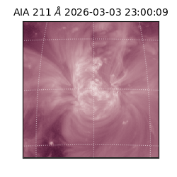 saia - 2026-03-03T23:00:09.630000