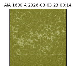 saia - 2026-03-03T23:00:14.125000