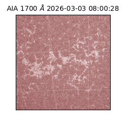 saia - 2026-03-03T08:00:28.718000