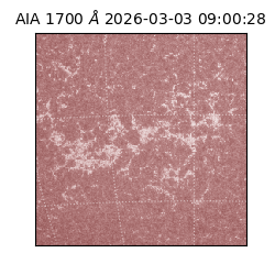 saia - 2026-03-03T09:00:28.717000