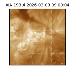saia - 2026-03-03T09:00:04.843000
