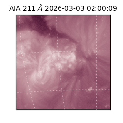 saia - 2026-03-03T02:00:09.634000