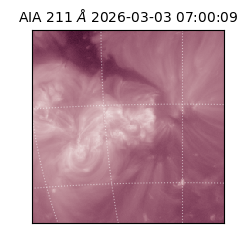 saia - 2026-03-03T07:00:09.618000