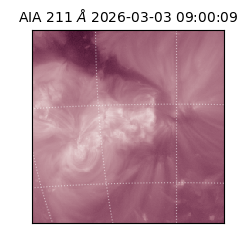 saia - 2026-03-03T09:00:09.625000