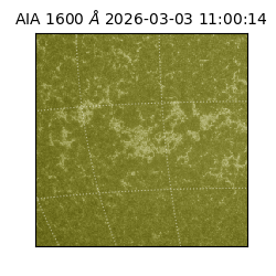 saia - 2026-03-03T11:00:14.118000