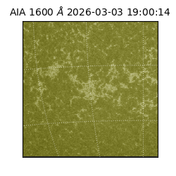 saia - 2026-03-03T19:00:14.129000