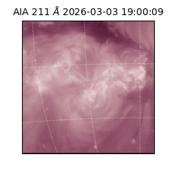 saia - 2026-03-03T19:00:09.626000