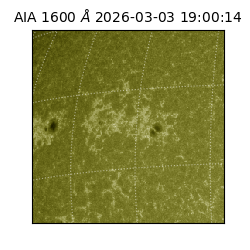 saia - 2026-03-03T19:00:14.129000