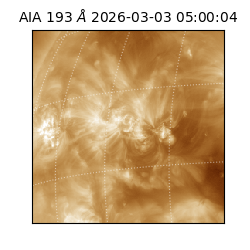 saia - 2026-03-03T05:00:04.843000