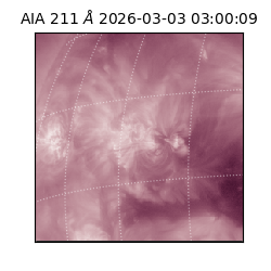 saia - 2026-03-03T03:00:09.631000