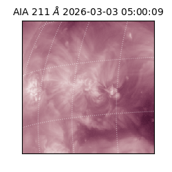 saia - 2026-03-03T05:00:09.632000