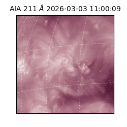 saia - 2026-03-03T11:00:09.617000