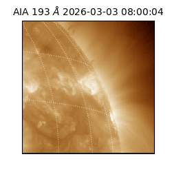 saia - 2026-03-03T08:00:04.843000