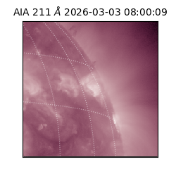 saia - 2026-03-03T08:00:09.625000