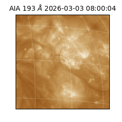 saia - 2026-03-03T08:00:04.843000