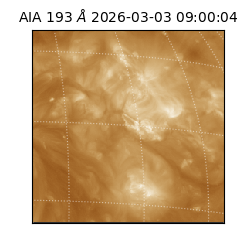 saia - 2026-03-03T09:00:04.843000